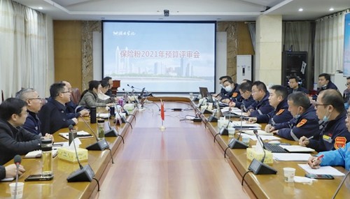 王大真到新材料公司、TPO項目現場和股份公司檢查工作(圖3)