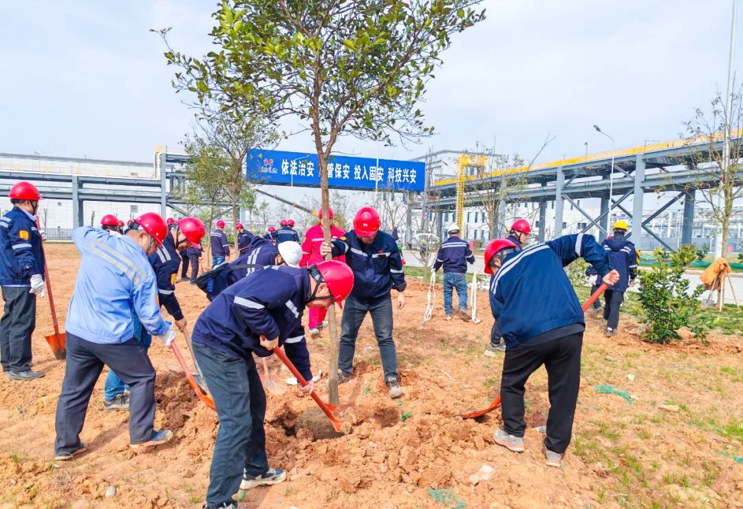 “植”此青綠共“樹”未來!集團(tuán)各公司開展植樹活動(圖8) “植”此青綠共“樹”未來!集團(tuán)各公司開展植樹活動(圖8)