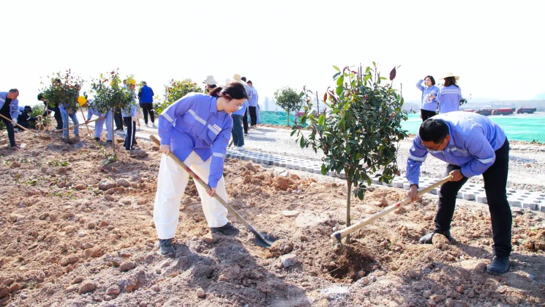 “植”此青綠共“樹”未來!集團(tuán)各公司開展植樹活動(圖16) “植”此青綠共“樹”未來!集團(tuán)各公司開展植樹活動(圖16)