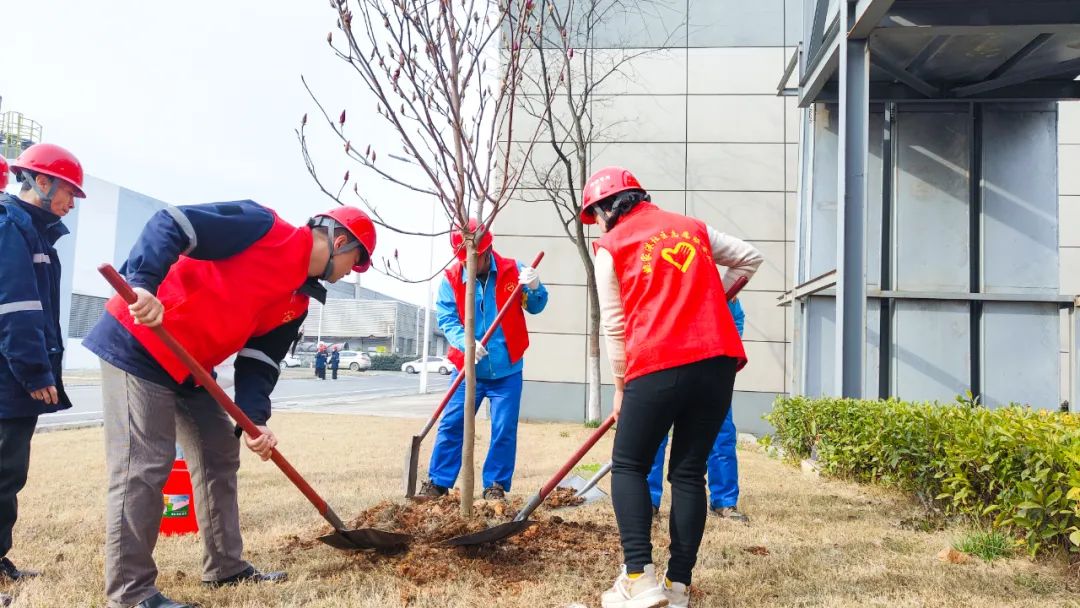 “植”此青綠共“樹”未來!集團(tuán)各公司開展植樹活動(圖24) “植”此青綠共“樹”未來!集團(tuán)各公司開展植樹活動(圖24)