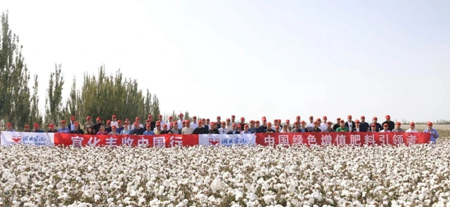 宜化豐收中國行！新疆棉花大型測產觀摩會成功舉行(圖1)