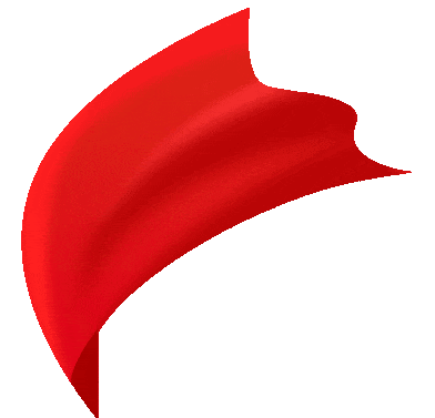 化機公司順利通過GC1、GC2、GB1、GB2級壓力管道設計換證現場評審(圖3)