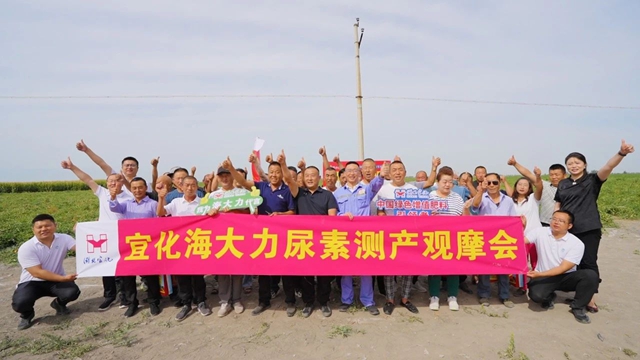 宜化海大力尿素示范田測產(chǎn)觀摩會成功舉辦(圖1)