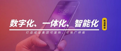 線上辦公零接觸！松滋肥業信息化在戰“疫”之中顯身手