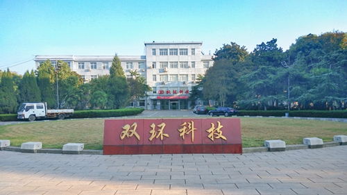 雙環公司：堅定信心 扛起責任 奮力作為